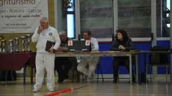 FINALI NAZIONALI GIOVANILI INDOOR 2016
